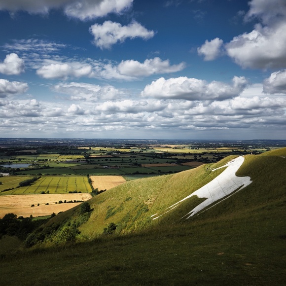 Meet your Posher, Julianne - Picture 1 of 1